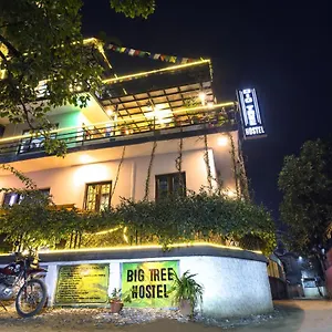 Hostal Big Tree, Katmandú